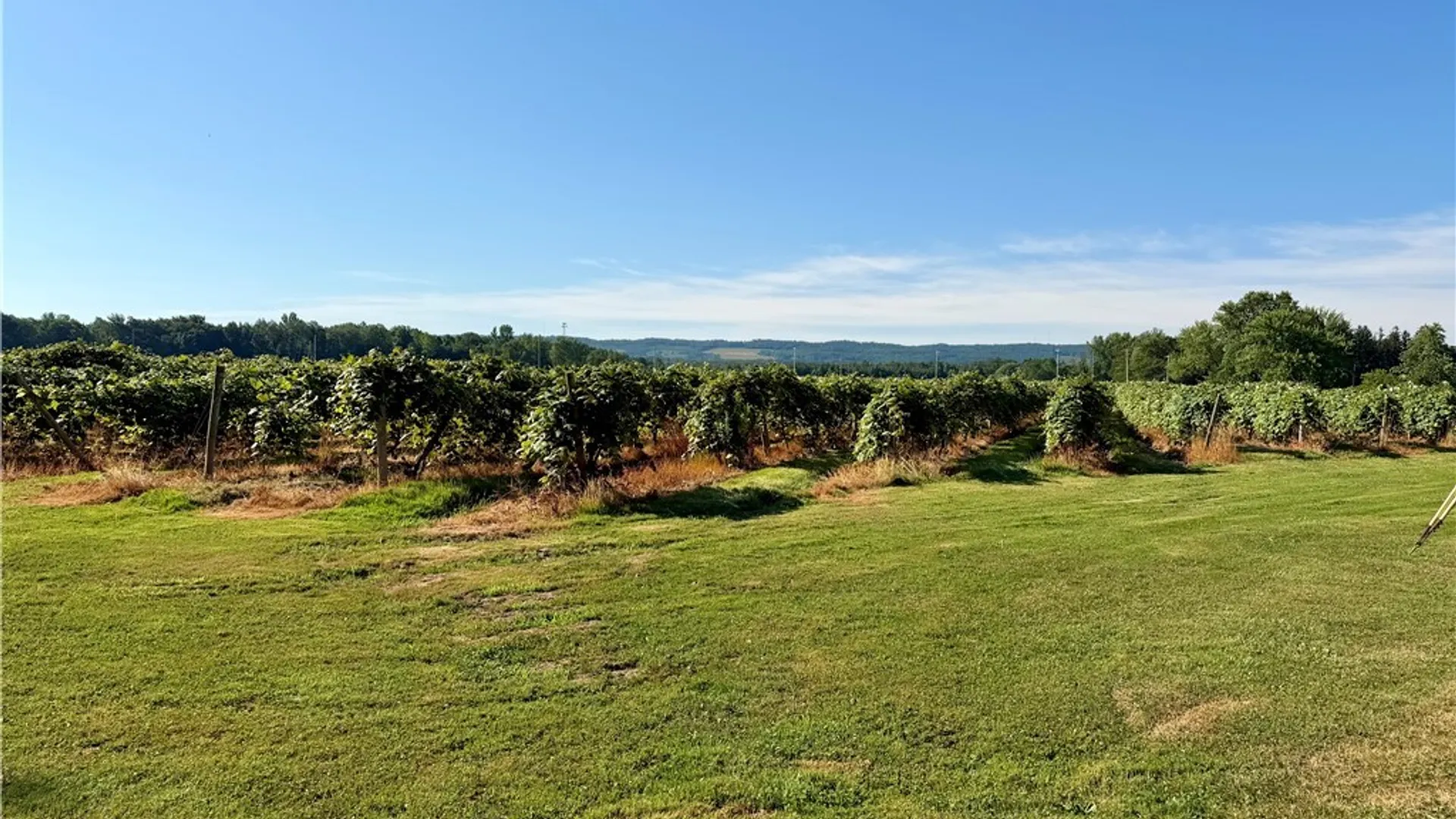 Property at 1202 Edgewater Drive, Westfield, NY 14787 44