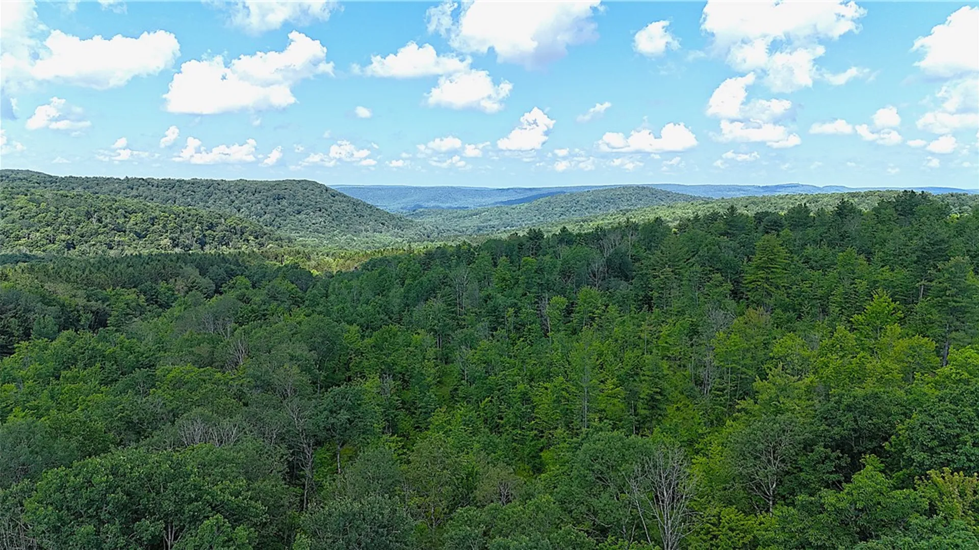 Property at 1667 Coon Hollow Road, Orange, NY 14812 28