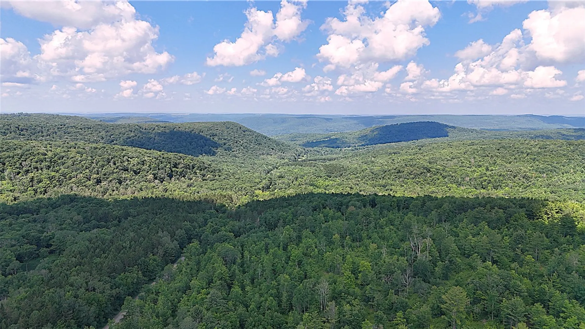 Property at 1667 Coon Hollow Road, Orange, NY 14812 31