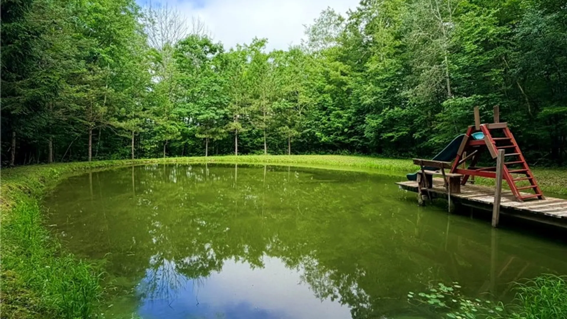 Property at 1667 Coon Hollow Road, Orange, NY 14812 36