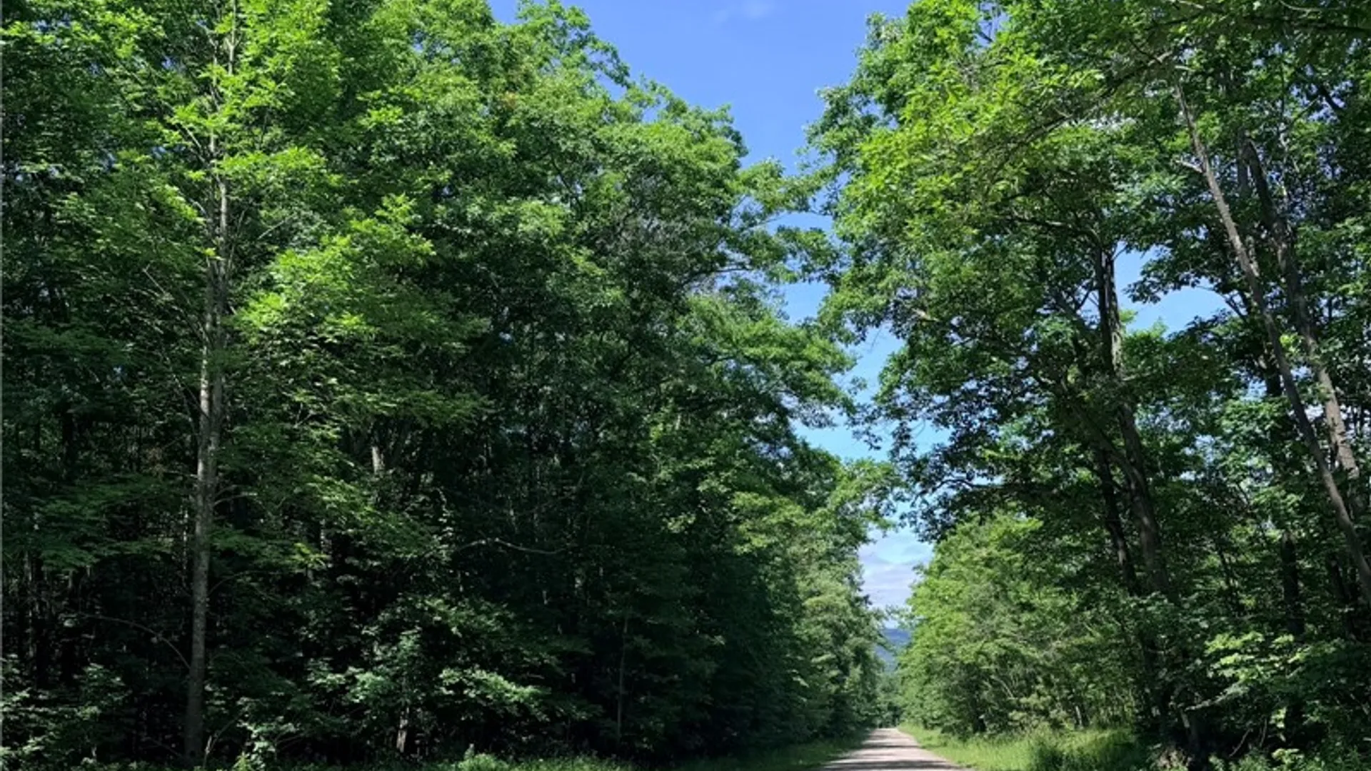 Property at 1667 Coon Hollow Road, Orange, NY 14812 25