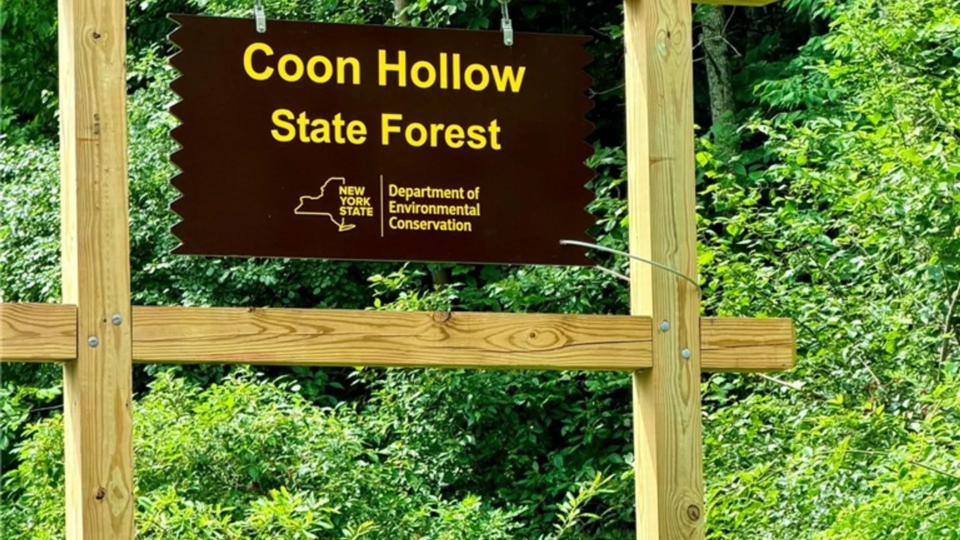 Property at 1667 Coon Hollow Road, Orange, NY 14812 42