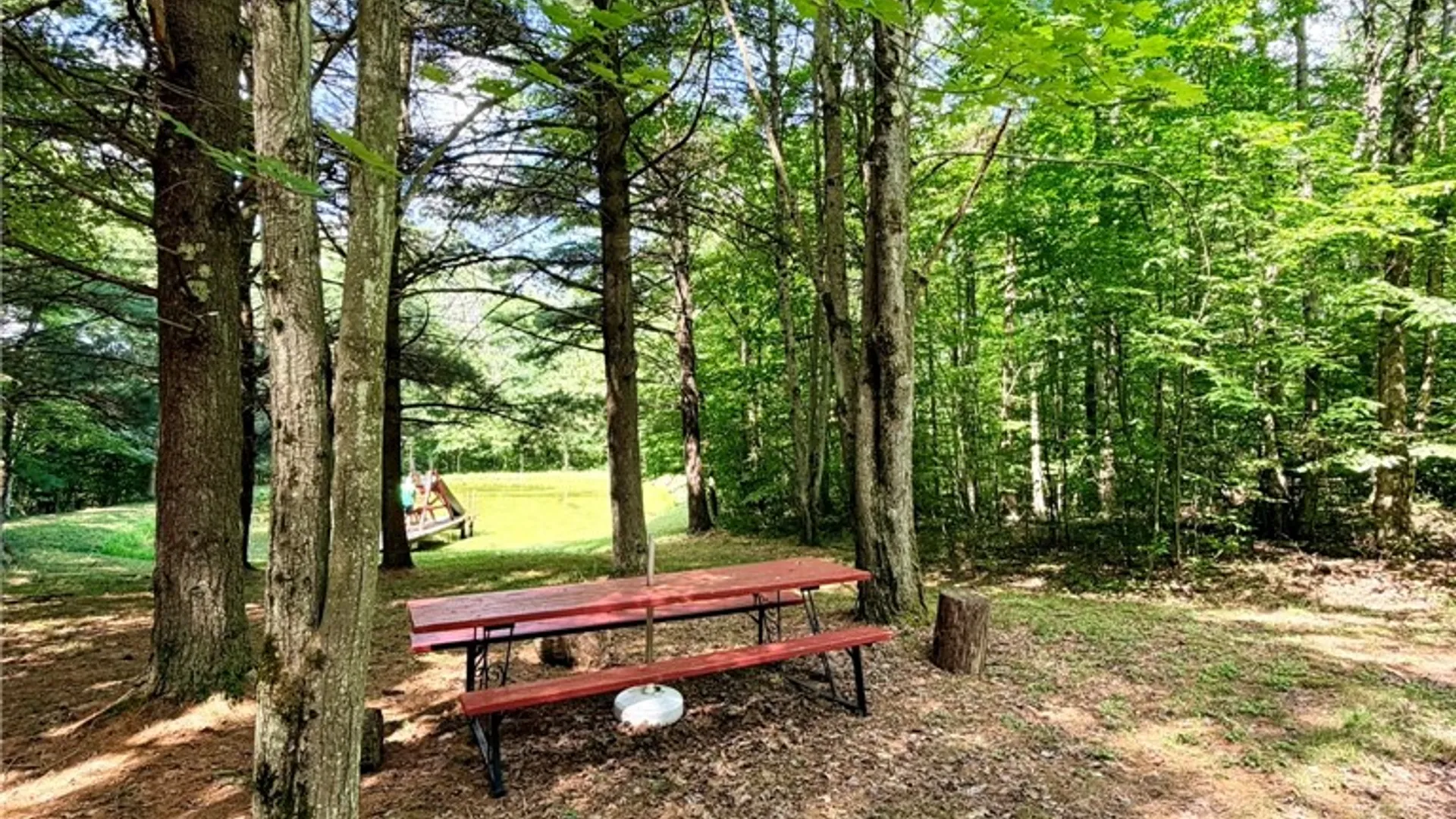 Property at 1667 Coon Hollow Road, Orange, NY 14812 37