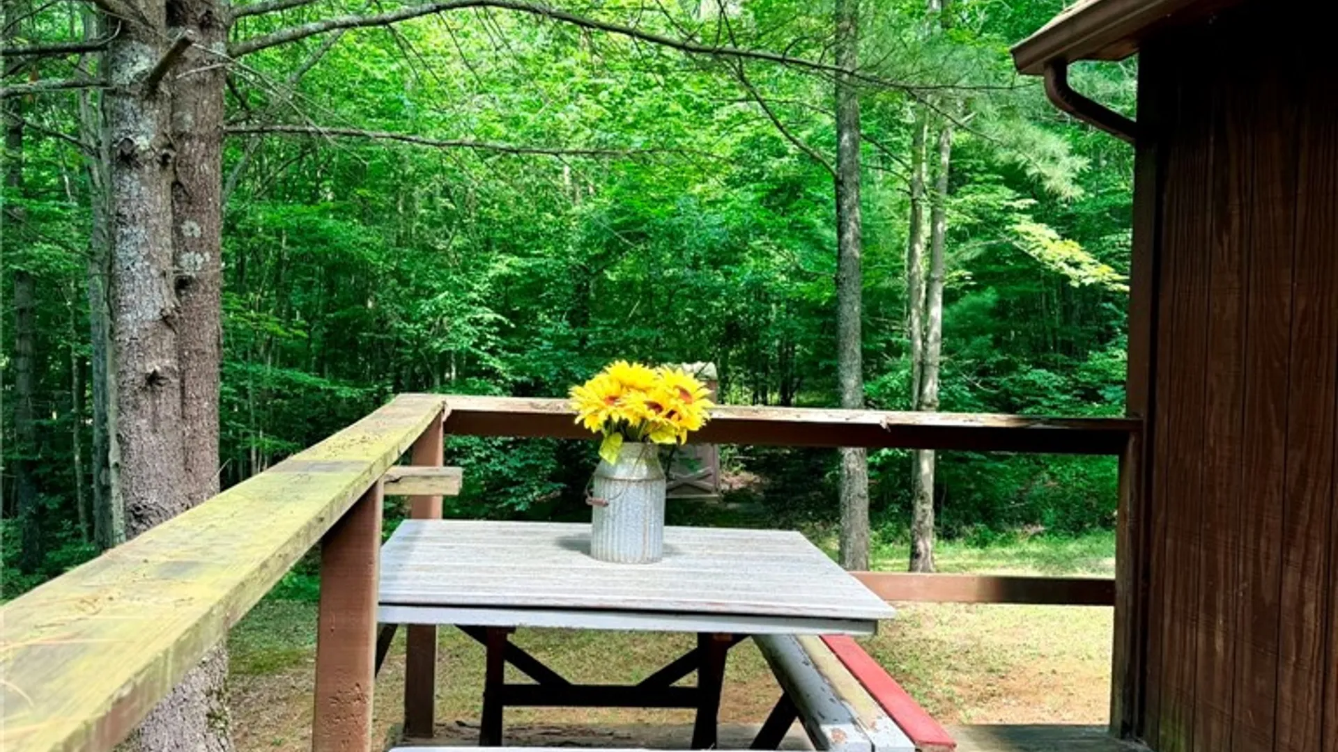 Property at 1667 Coon Hollow Road, Orange, NY 14812 7
