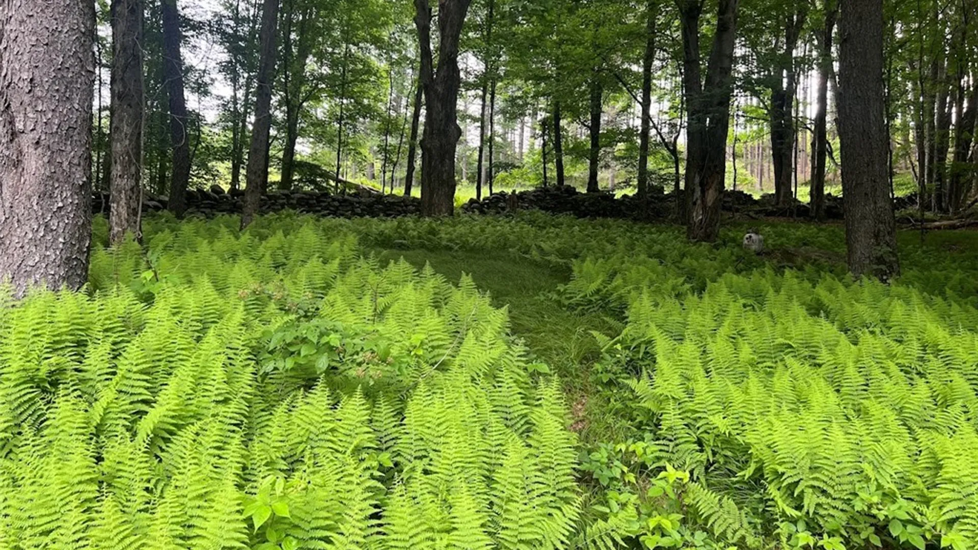 Property at 136 Arbuckle Hollow Road, Delhi, NY 13752 6