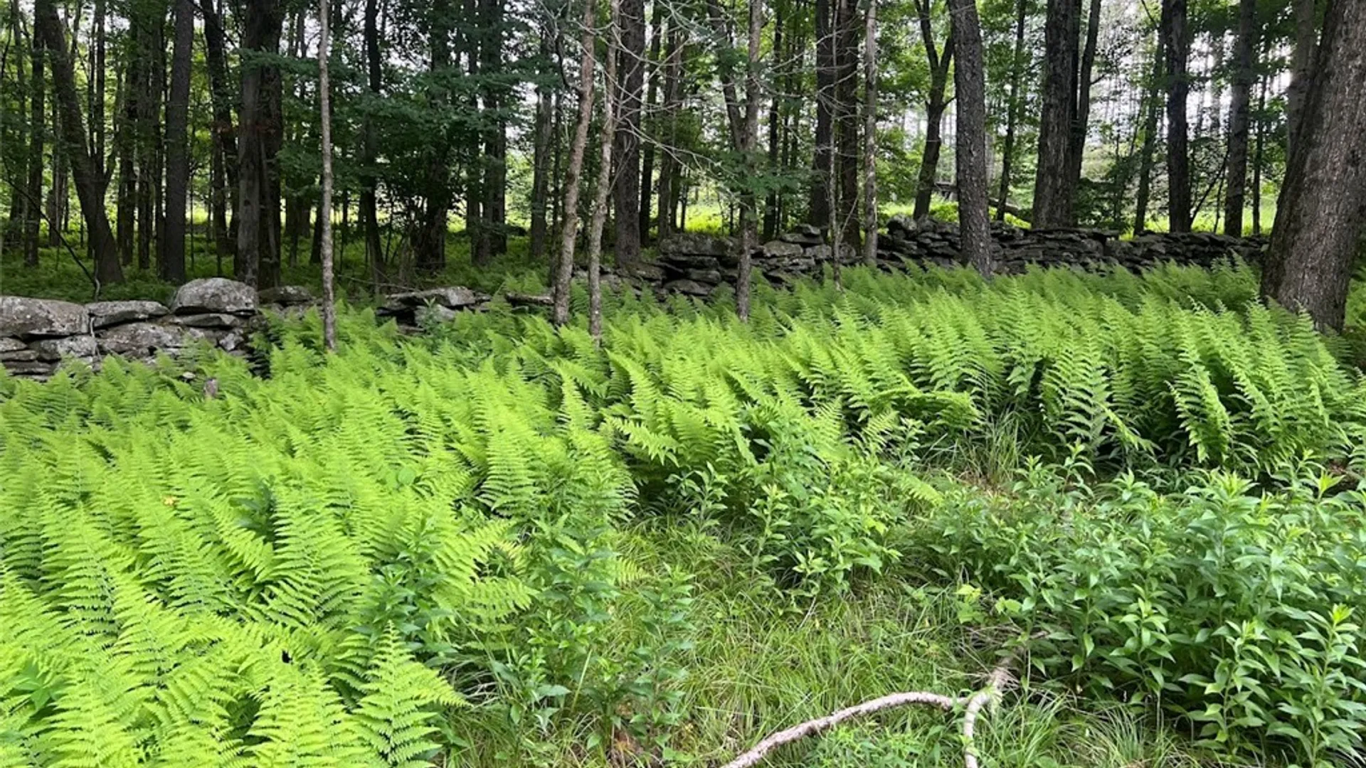 Property at 136 Arbuckle Hollow Road, Delhi, NY 13752 7