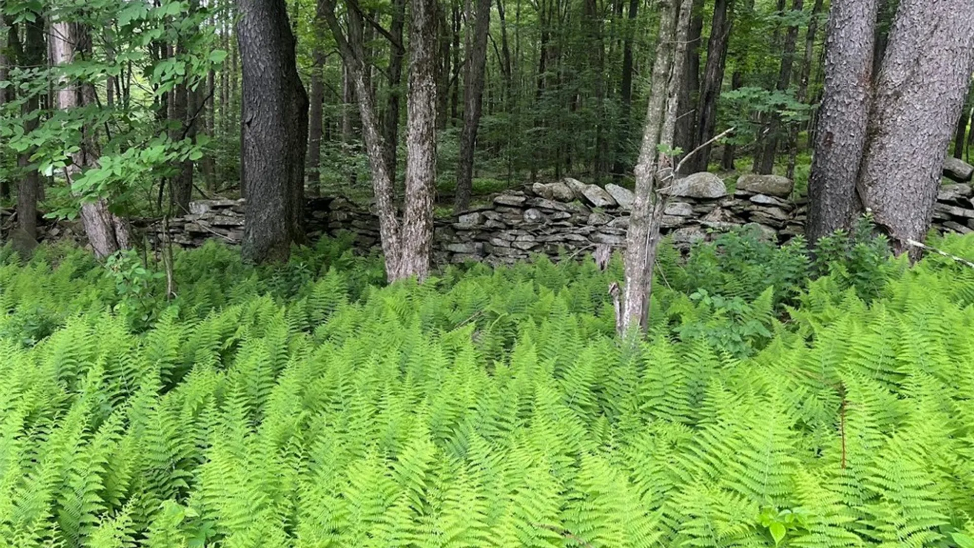 Property at 136 Arbuckle Hollow Road, Delhi, NY 13752 8
