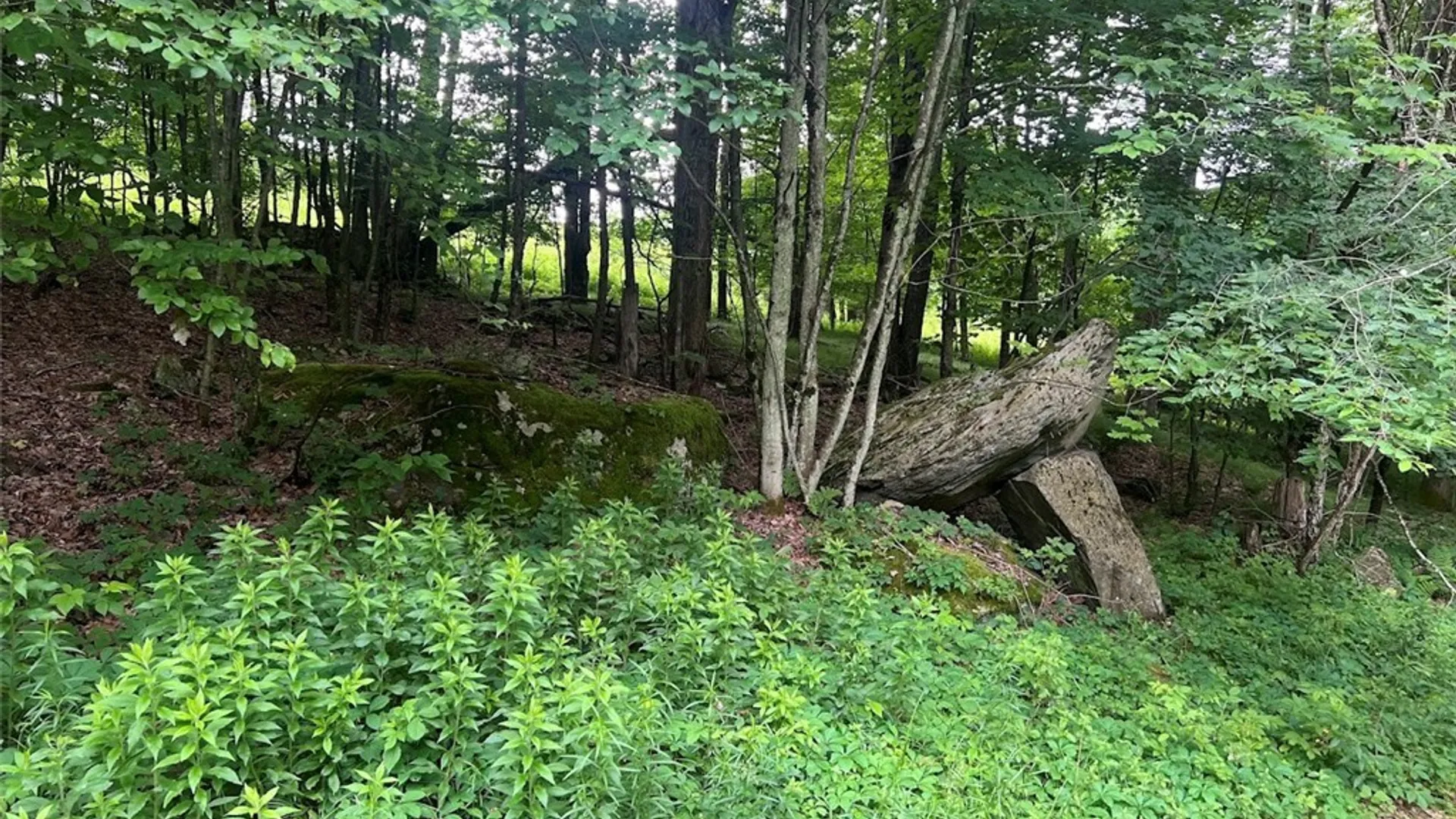 Property at 136 Arbuckle Hollow Road, Delhi, NY 13752 9
