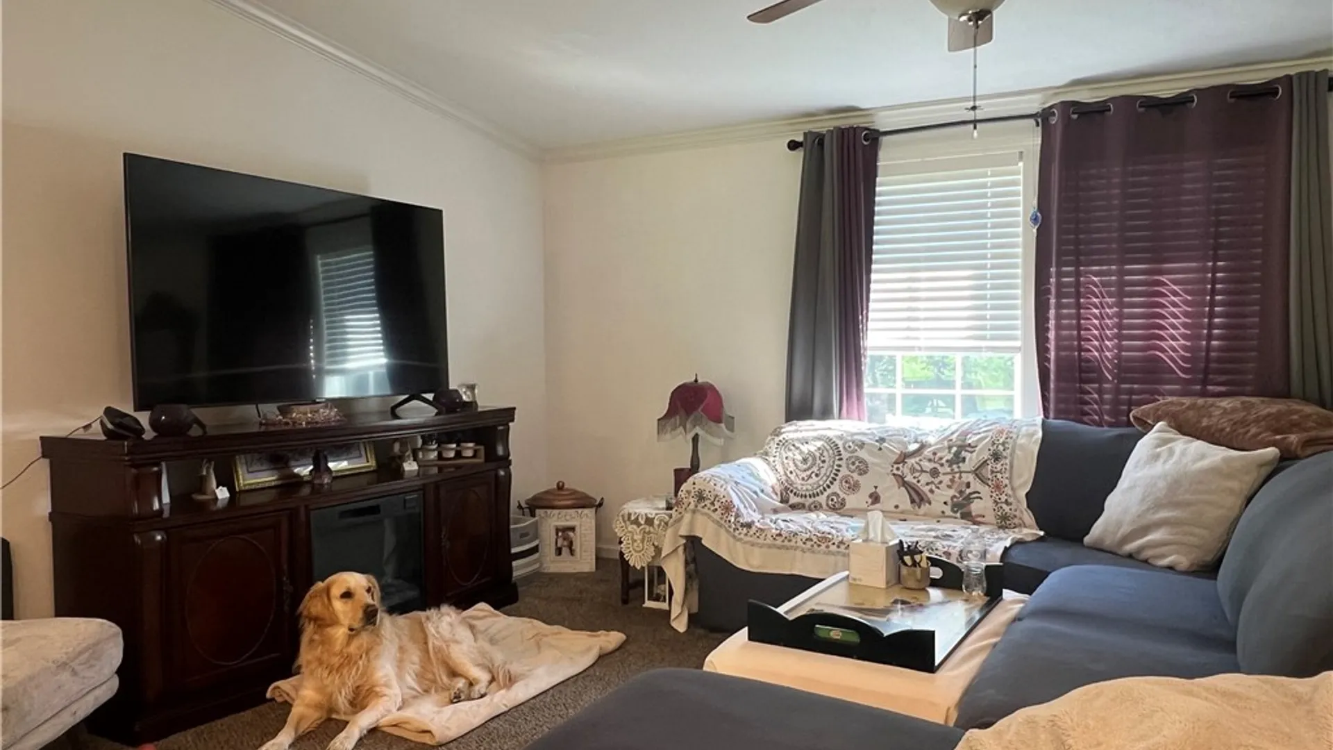 Property at 439 Simkin Road, Chemung, NY 14825 9