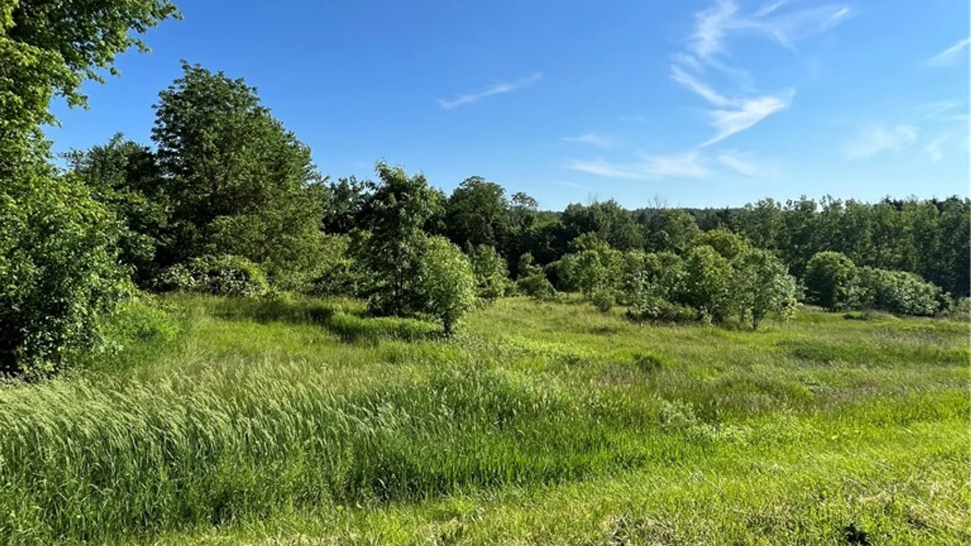Property at 3633 Warner Road, Marion, NY 14505 2