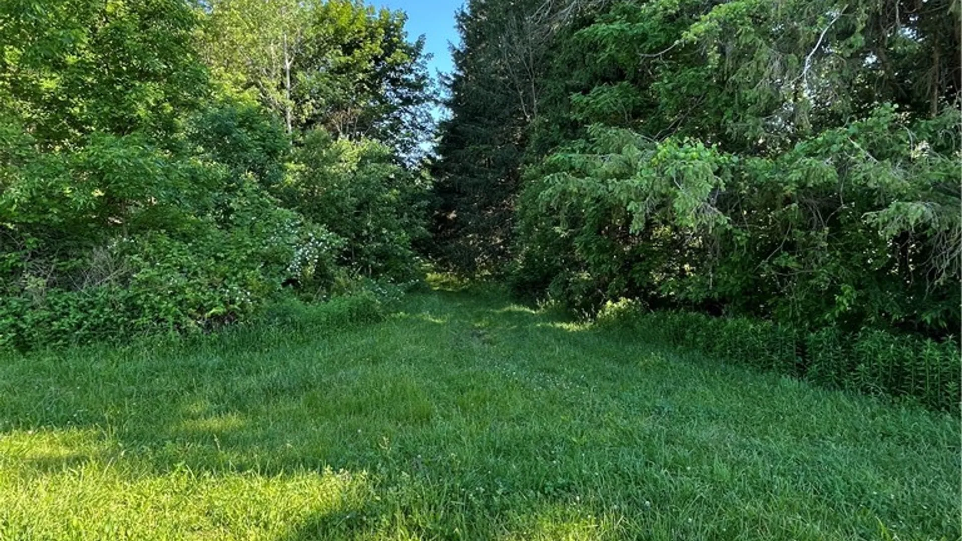 Property at 3633 Warner Road, Marion, NY 14505 7