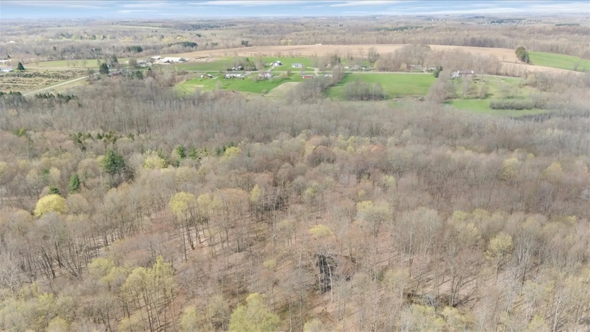 Property at 3633 Warner Road, Marion, NY 14505 9