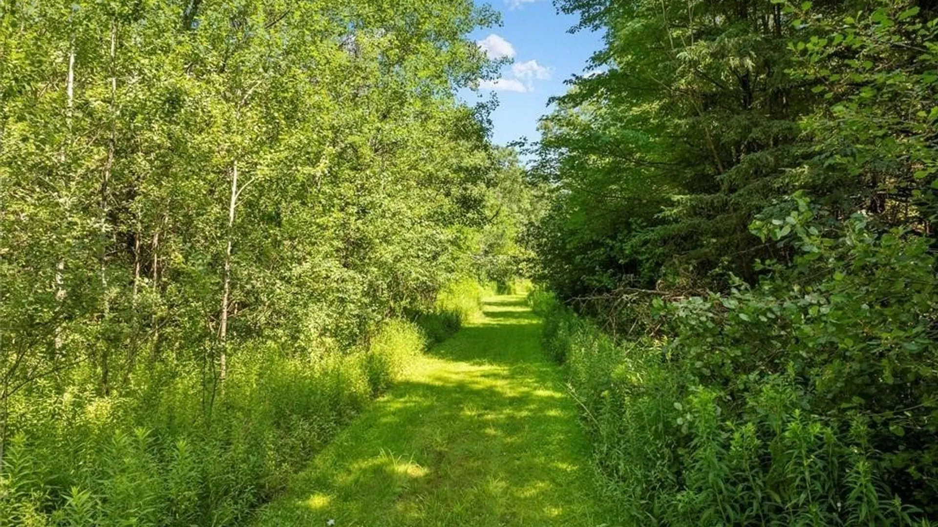 Property at 00 Trenton Road, Deerfield, NY 13502 18