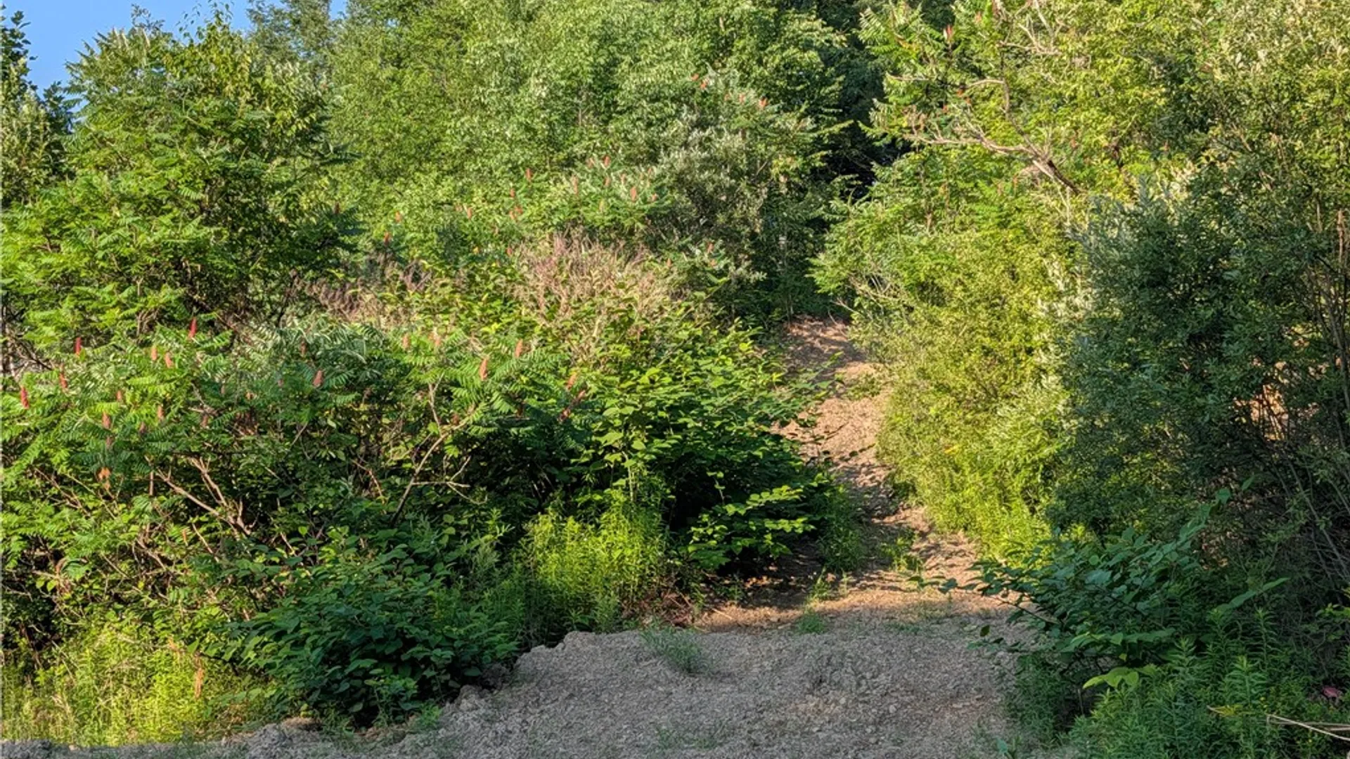 Property at South Avenue, Bradford Town, PA 16701 4