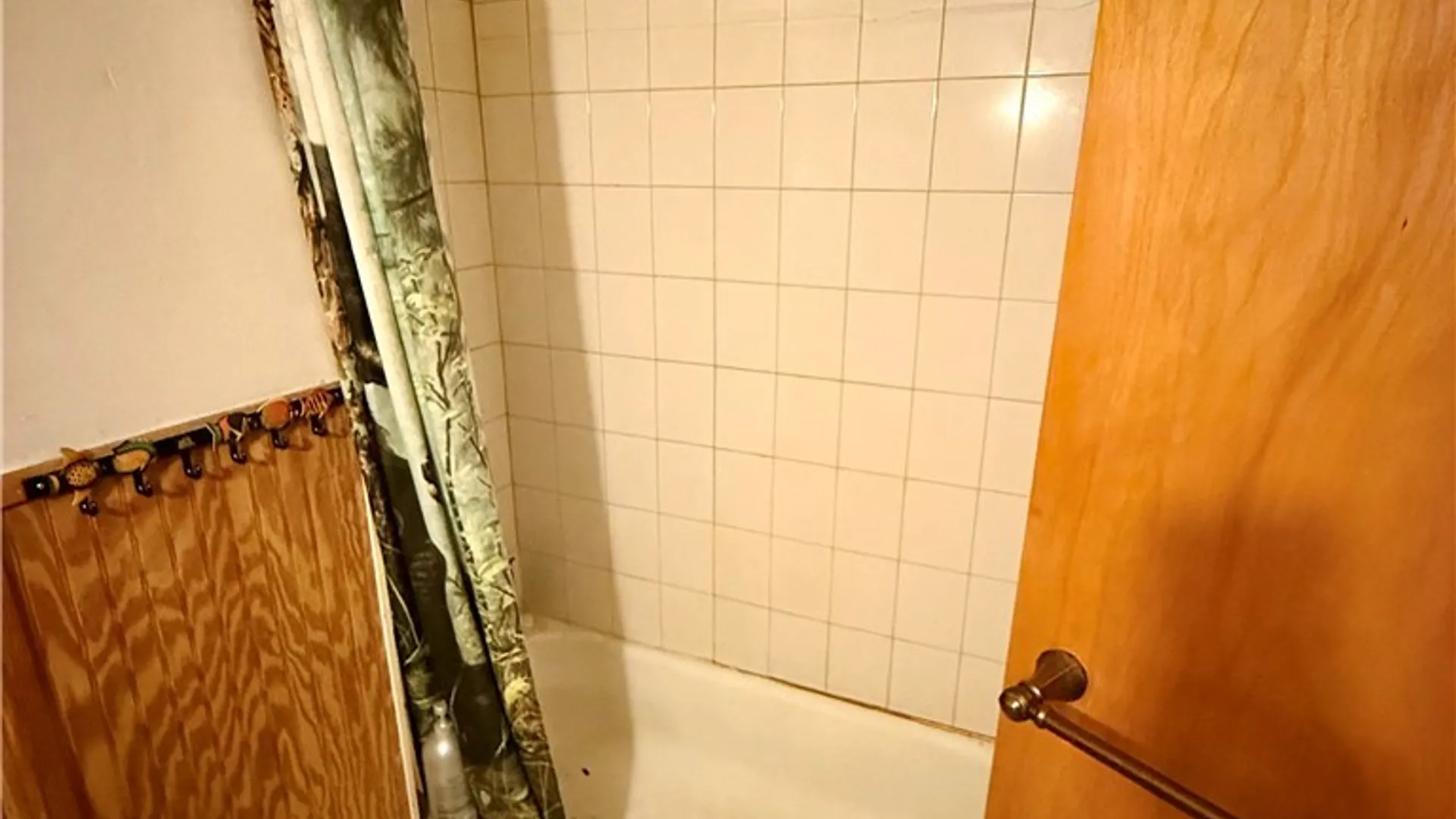 Property at 1121 E Lovejoy Street, Buffalo, NY 14206 10