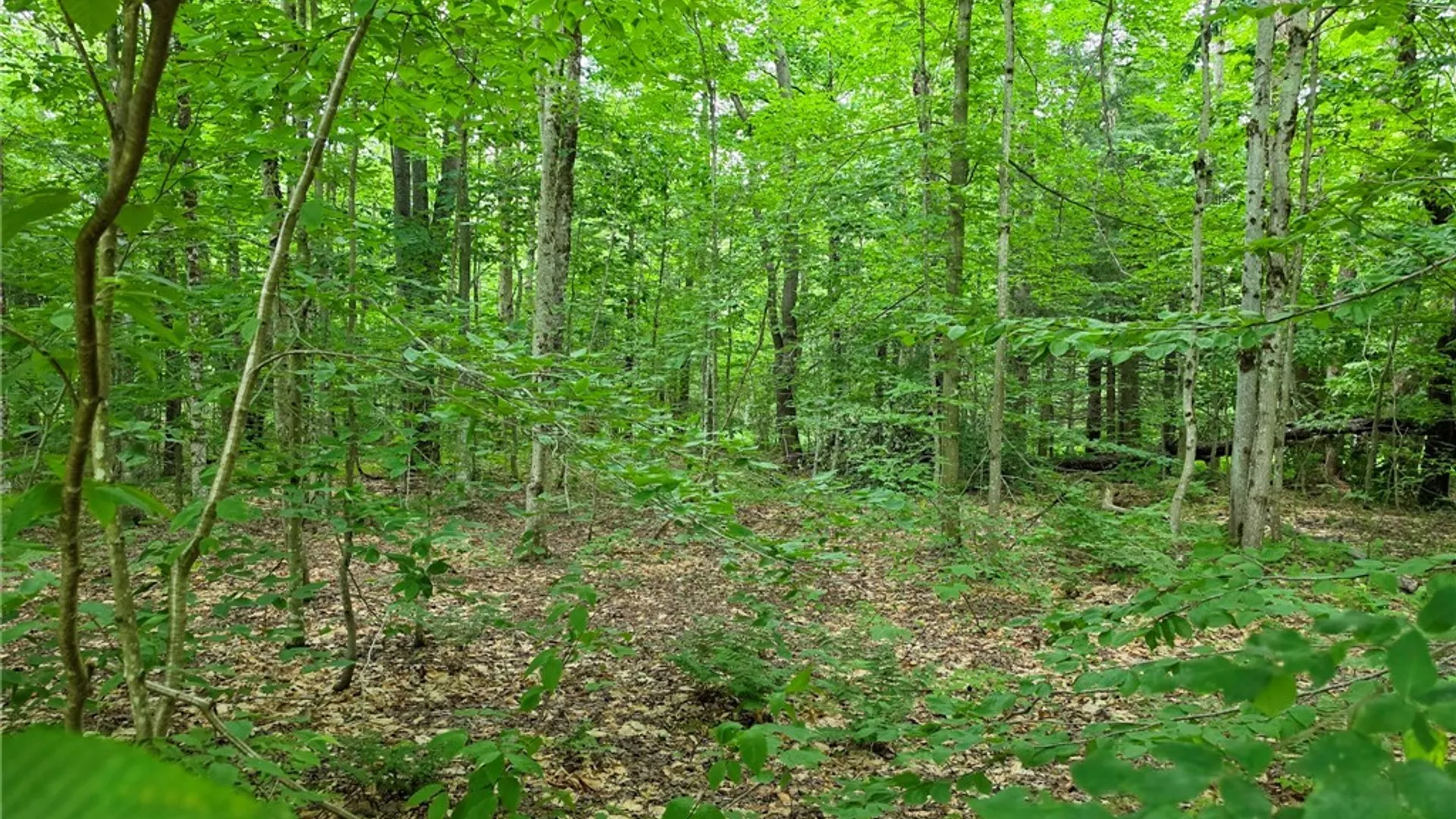 Property at 11667 Gossner Road, Annsville, NY 13471 14