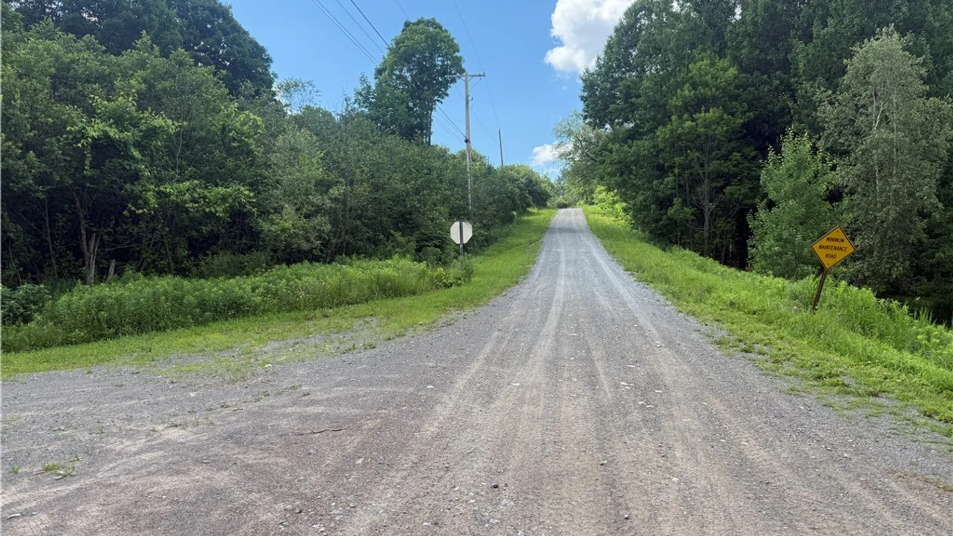 Property at 8707 Old State Road, Pinckney, NY 13626 2