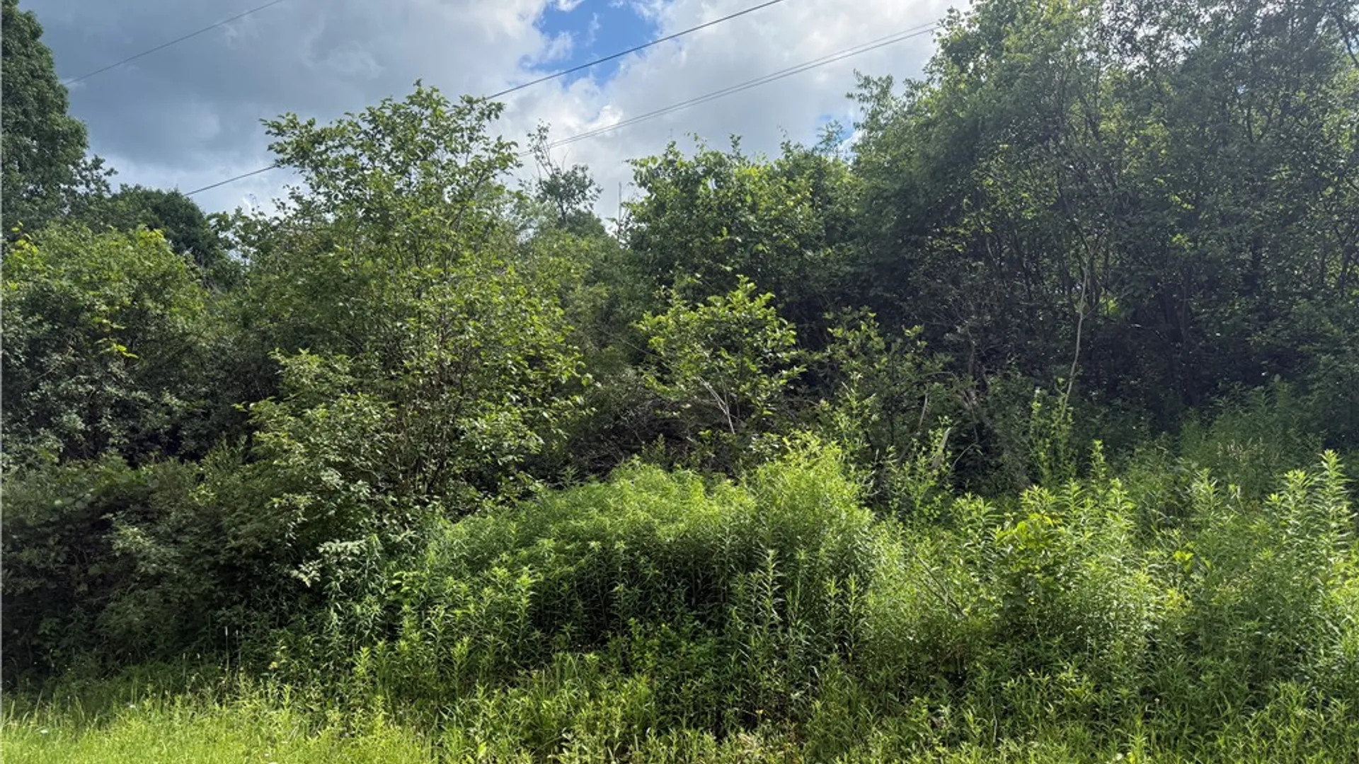 Property at 8707 Old State Road, Pinckney, NY 13626 5