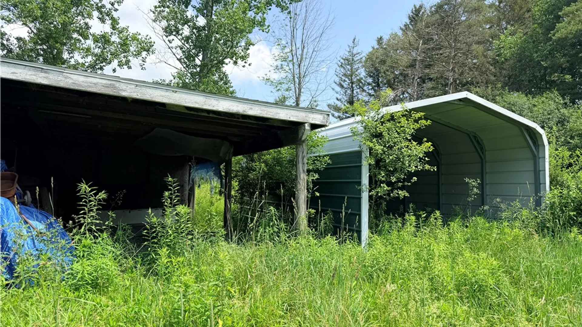 Property at 3572 State Route 244, Ward, NY 14813 26