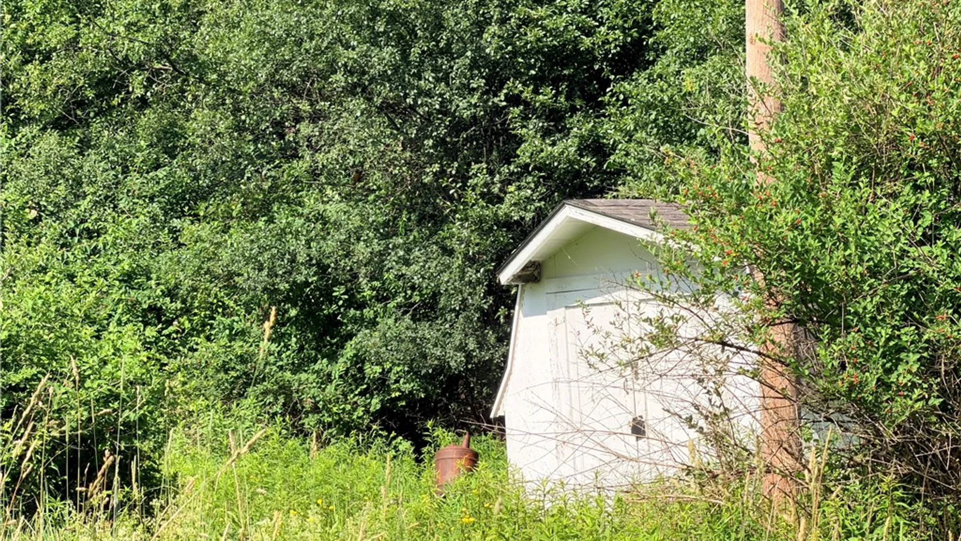 Property at 3572 State Route 244, Ward, NY 14813 27