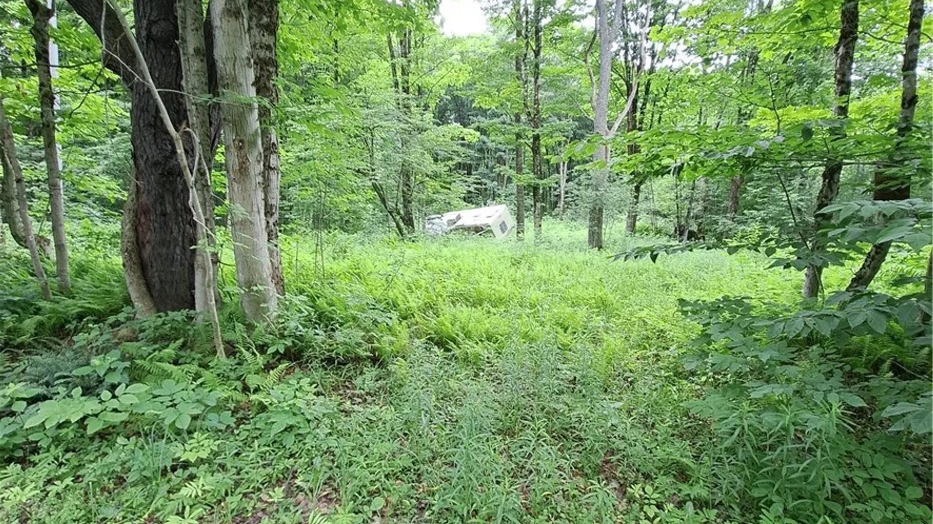 Property at Cassio Road, Redfield, NY 13493 3