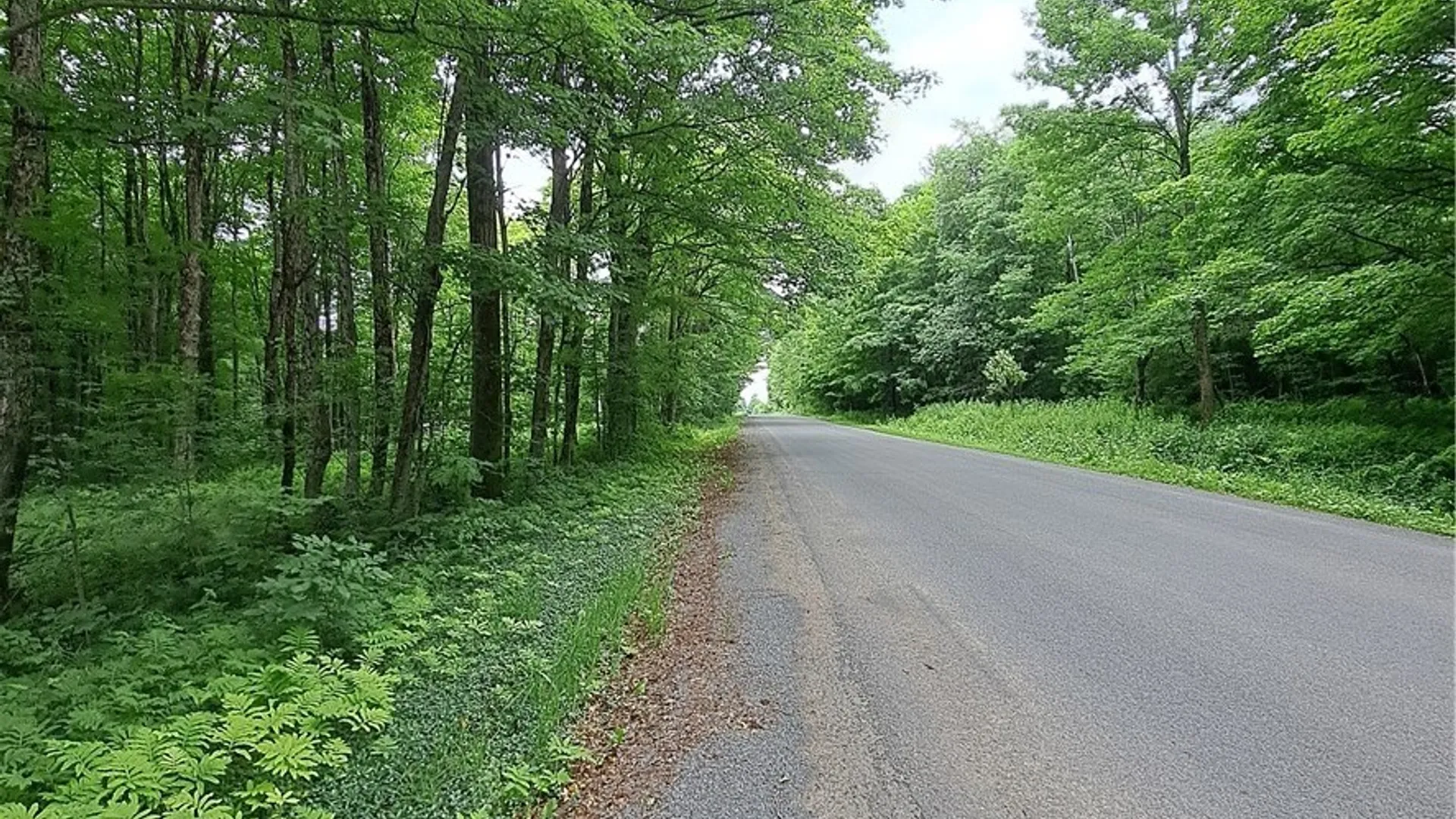 Property at Cassio Road, Redfield, NY 13493 5