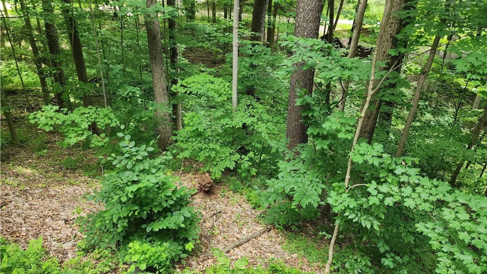 Property at 16 Hemlock Road, Sheldon, NY 14167 24