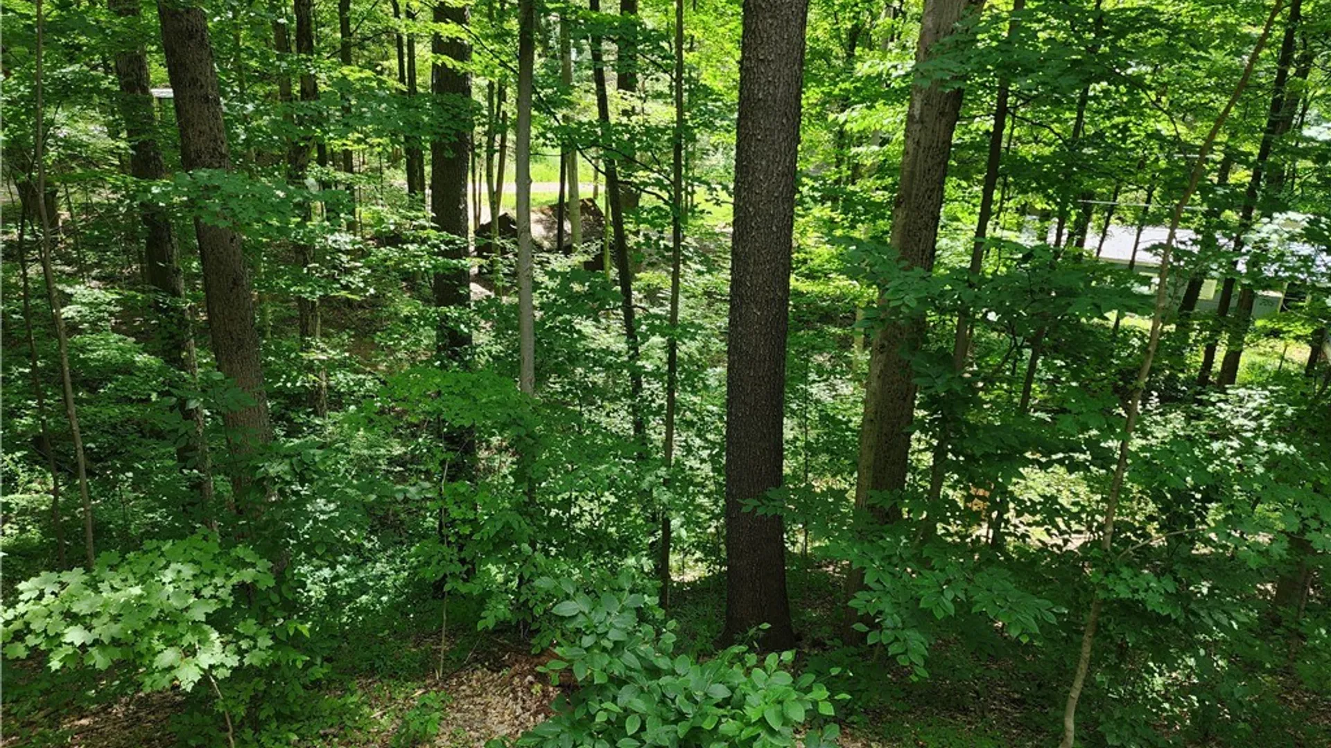 Property at 16 Hemlock Road, Sheldon, NY 14167 27