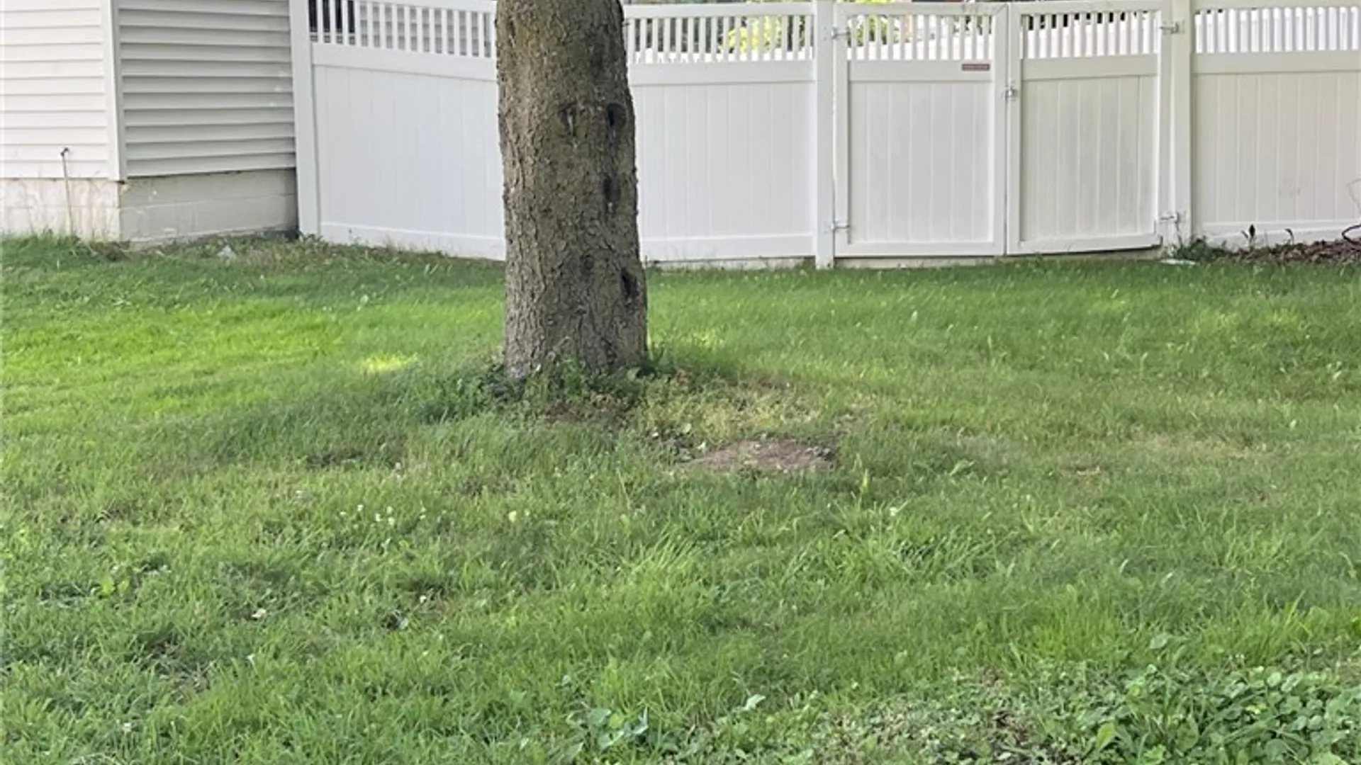 Property at 25107 Woolworth Street, Champion, NY 13619 42