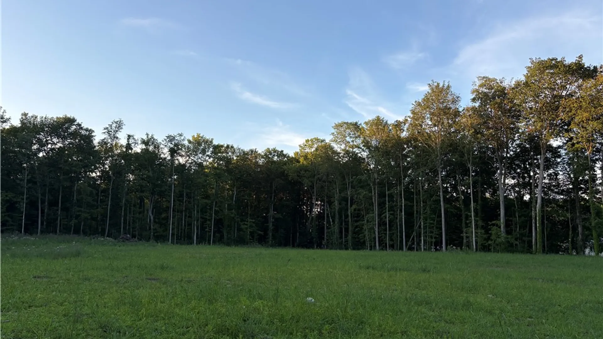 Property at 4073 Warner Road, Marion, NY 14505 43