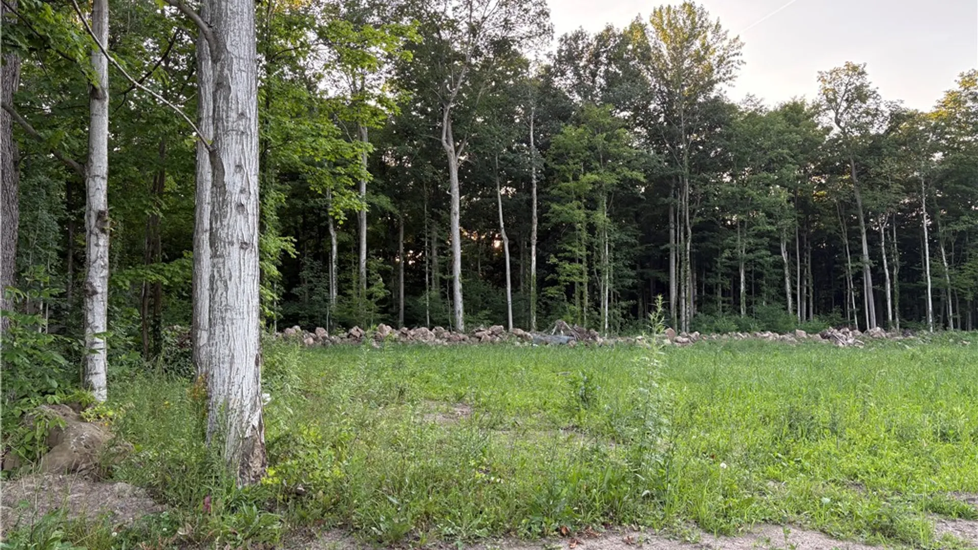 Property at 4073 Warner Road, Marion, NY 14505 45
