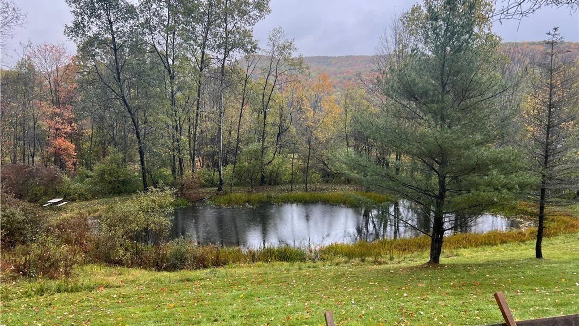 Property at 3161 Route 305, Clarksville, NY 14727 4