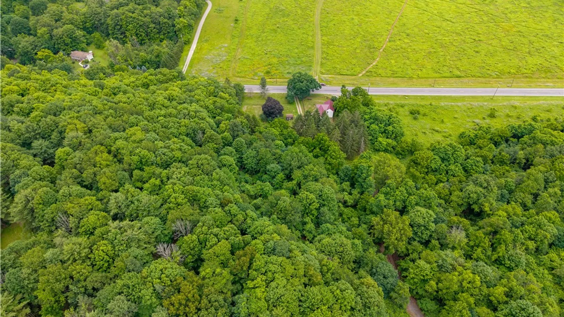 Property at 8071 Hunt Hollow Road, Naples, NY 14512 49