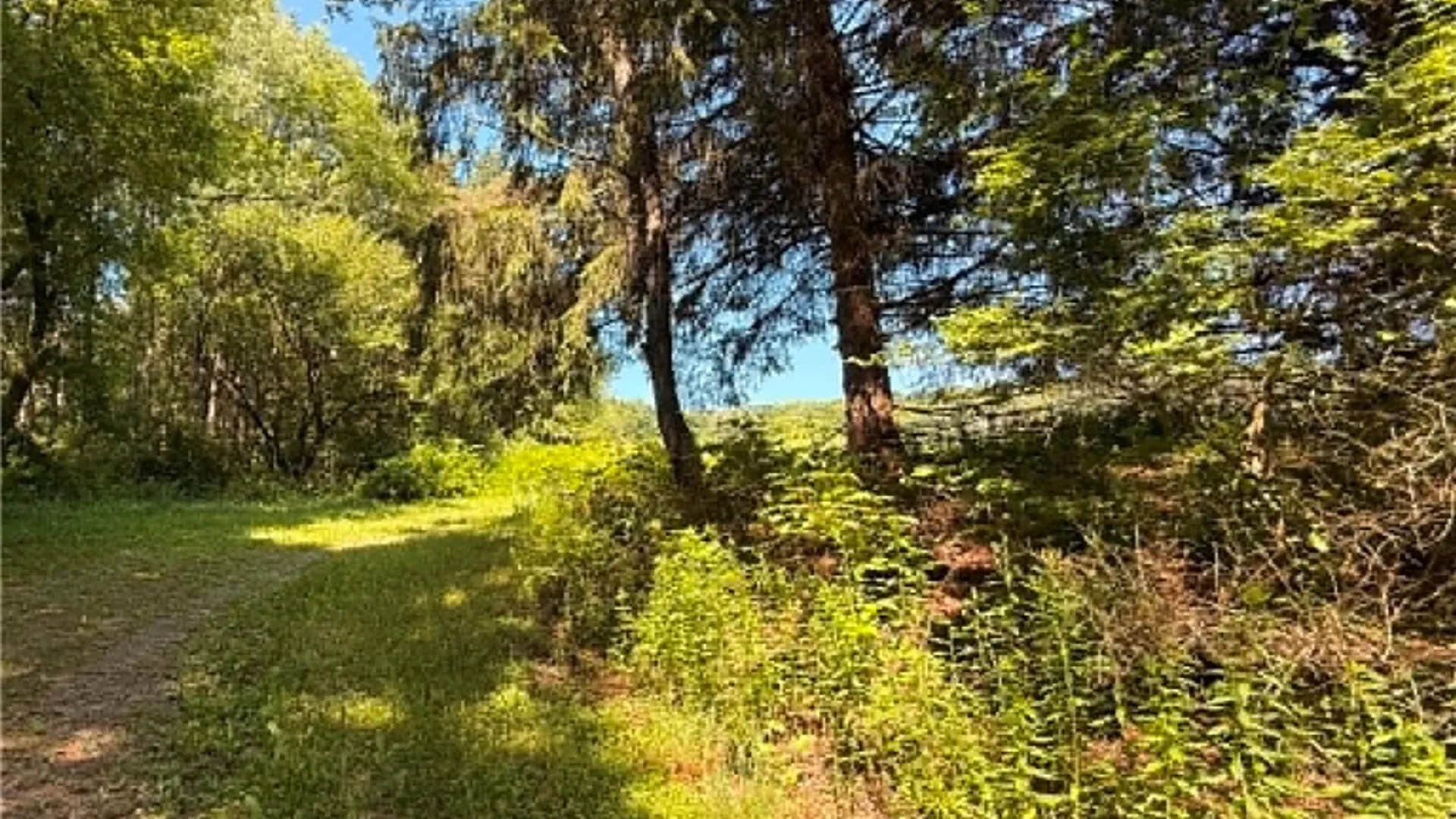 Property at 4509 County Route 158, Taylor, NY 13052 13