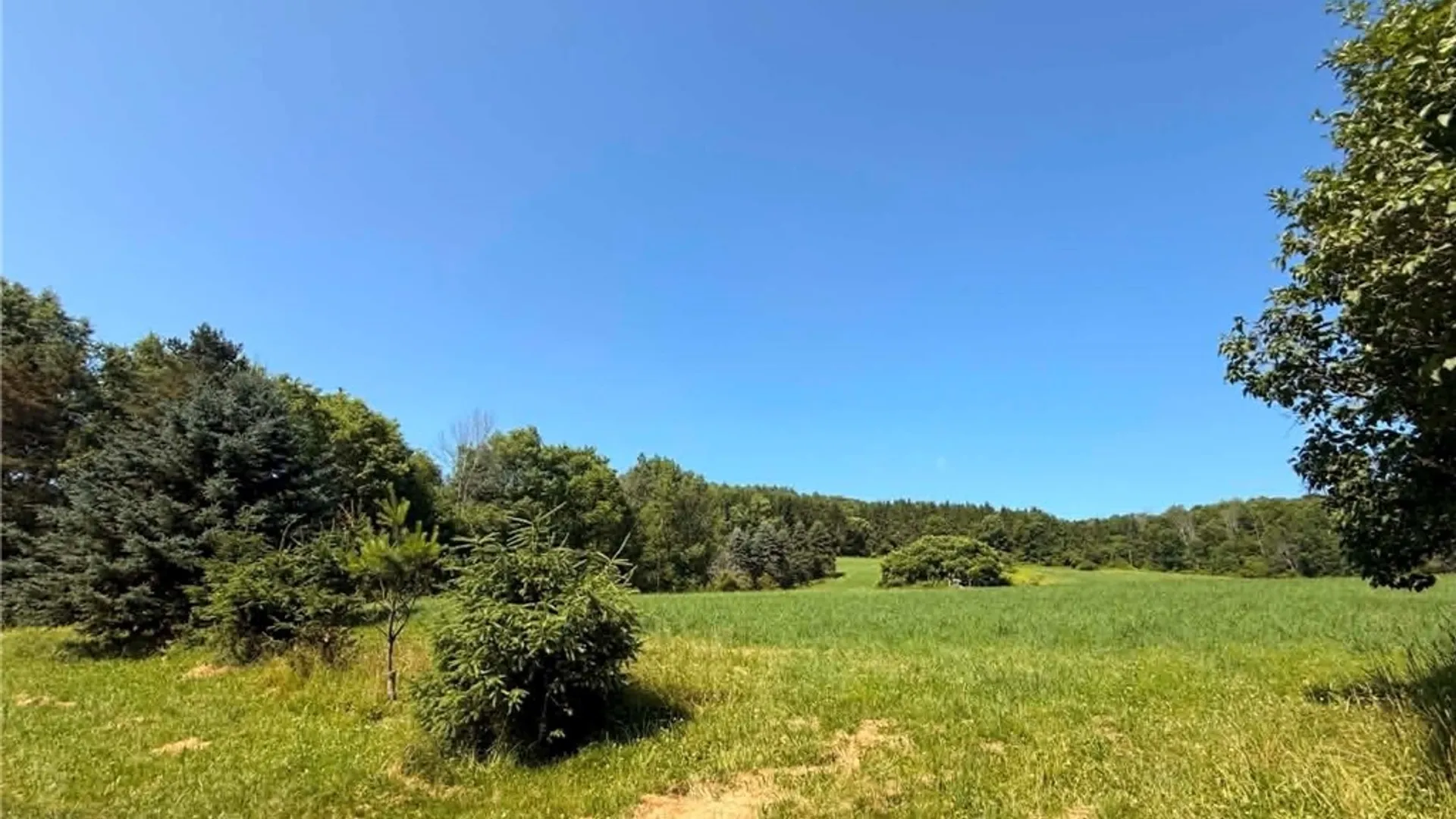 Property at 4509 County Route 158, Taylor, NY 13052 15
