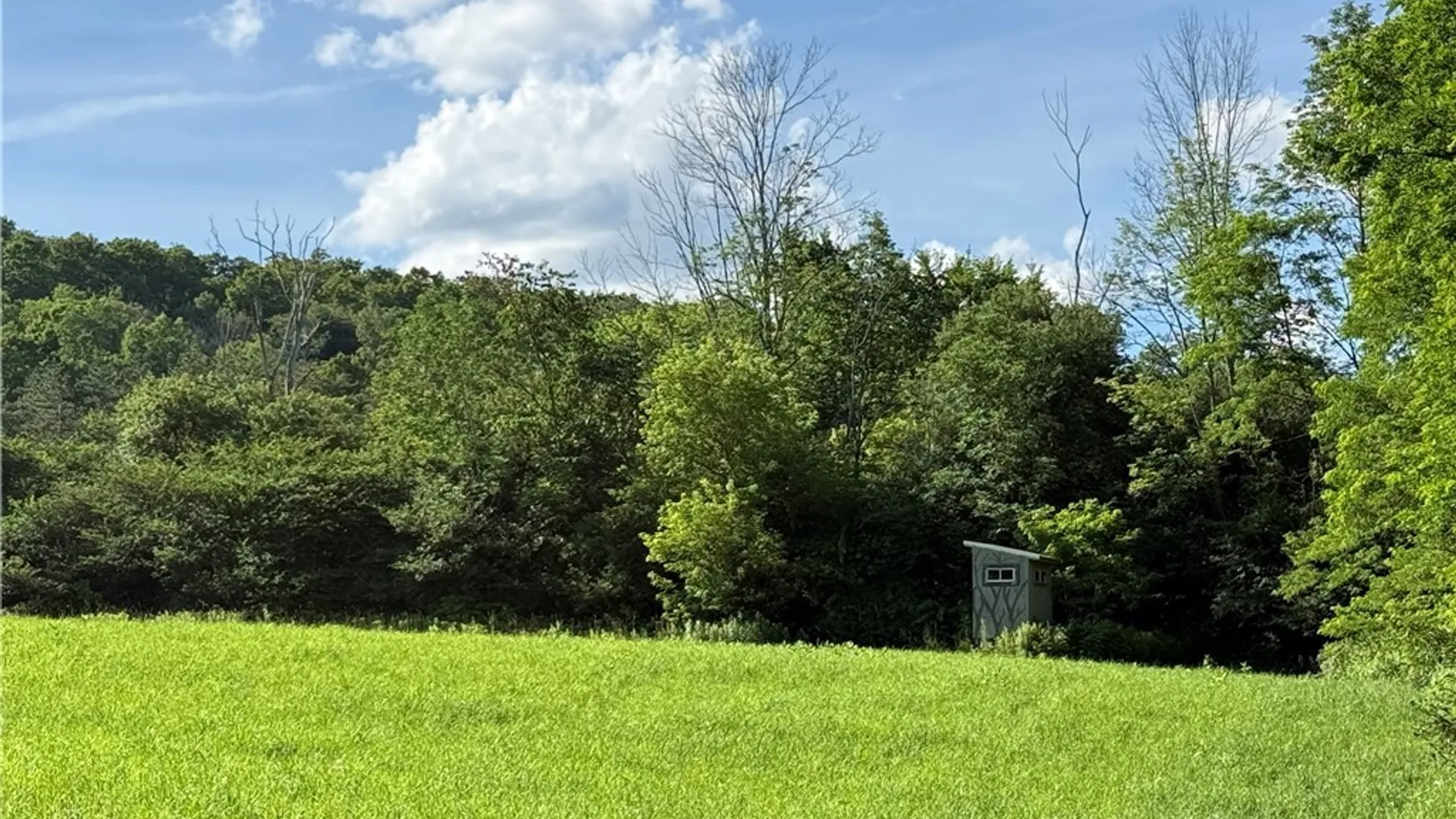 Property at 4509 County Route 158, Taylor, NY 13052 16