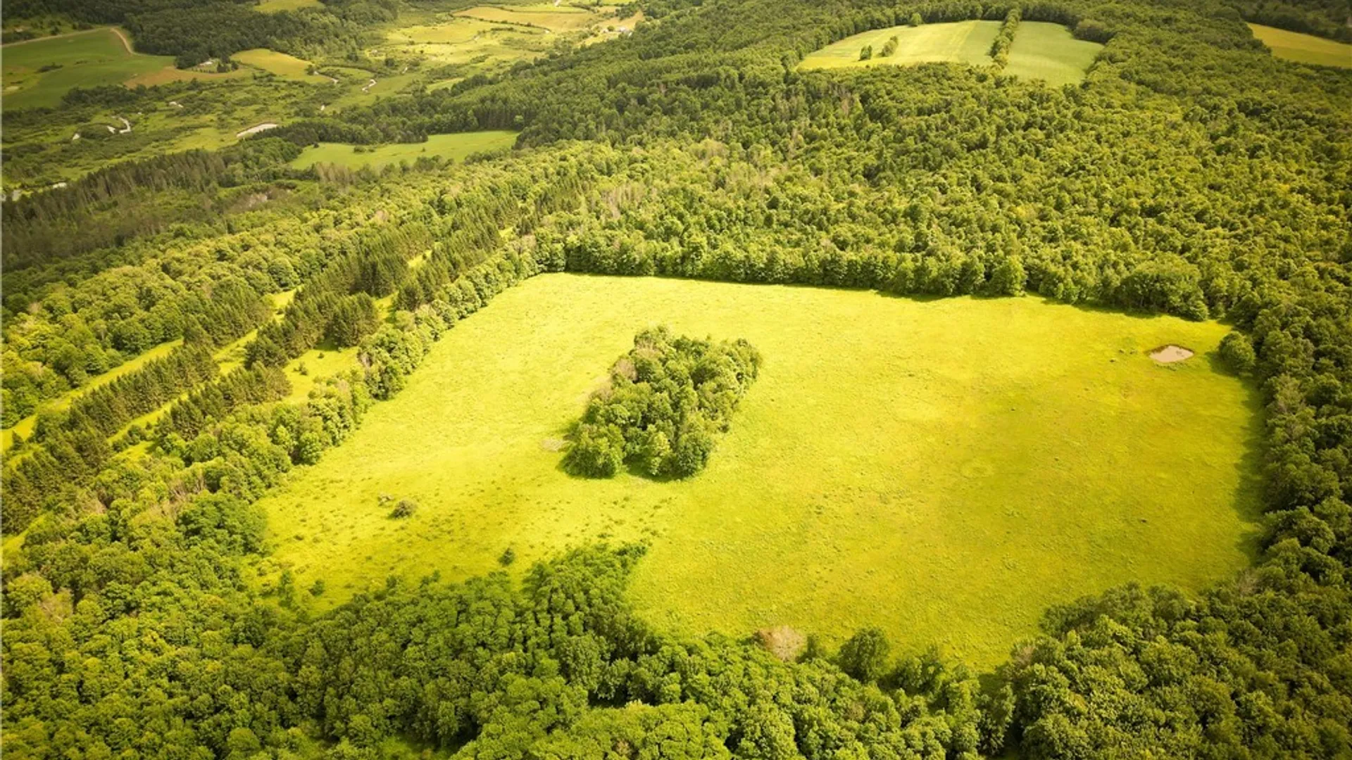 Property at 4509 County Route 158, Taylor, NY 13052 21