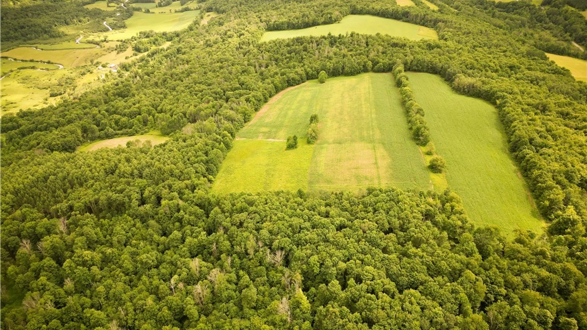 Property at 4509 County Route 158, Taylor, NY 13052 22