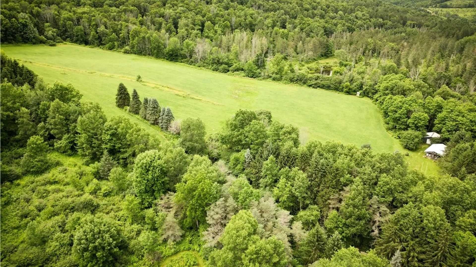 Property at 4509 County Route 158, Taylor, NY 13052 26