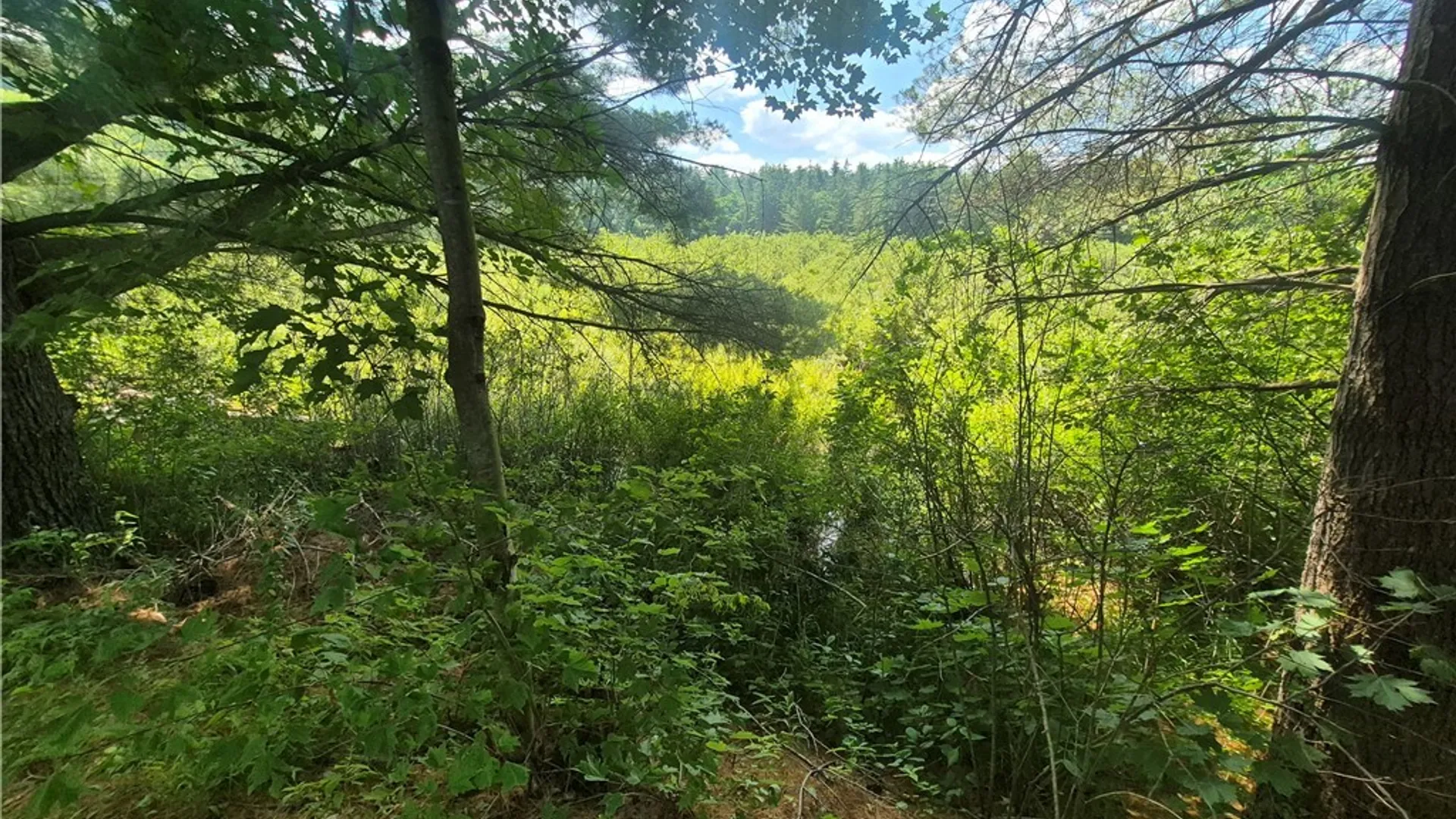 Property at 1388 State Highway 3, Pitcairn, NY 13648 19