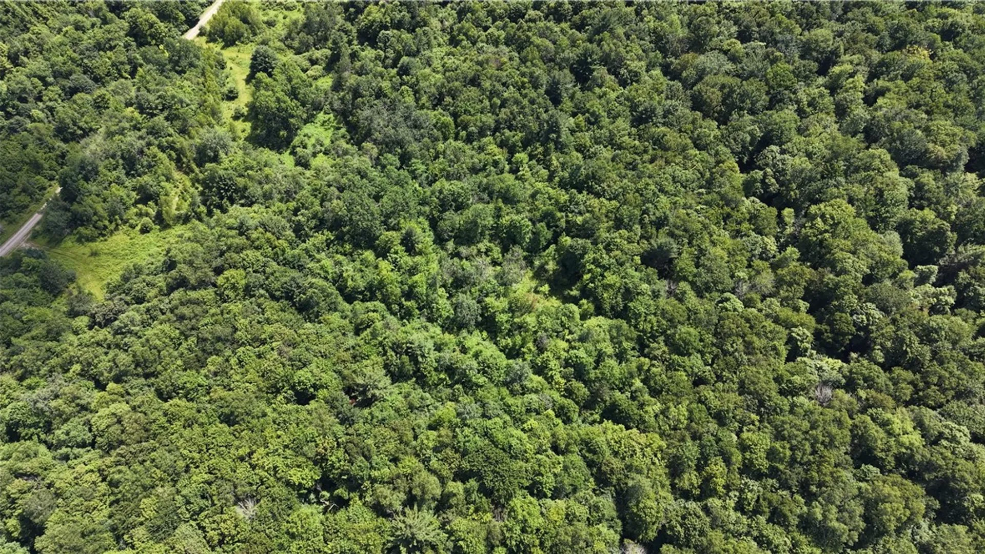 Property at *Rabbit Path (POLP: 409 Cty Rd 5), German, NY 13801 15