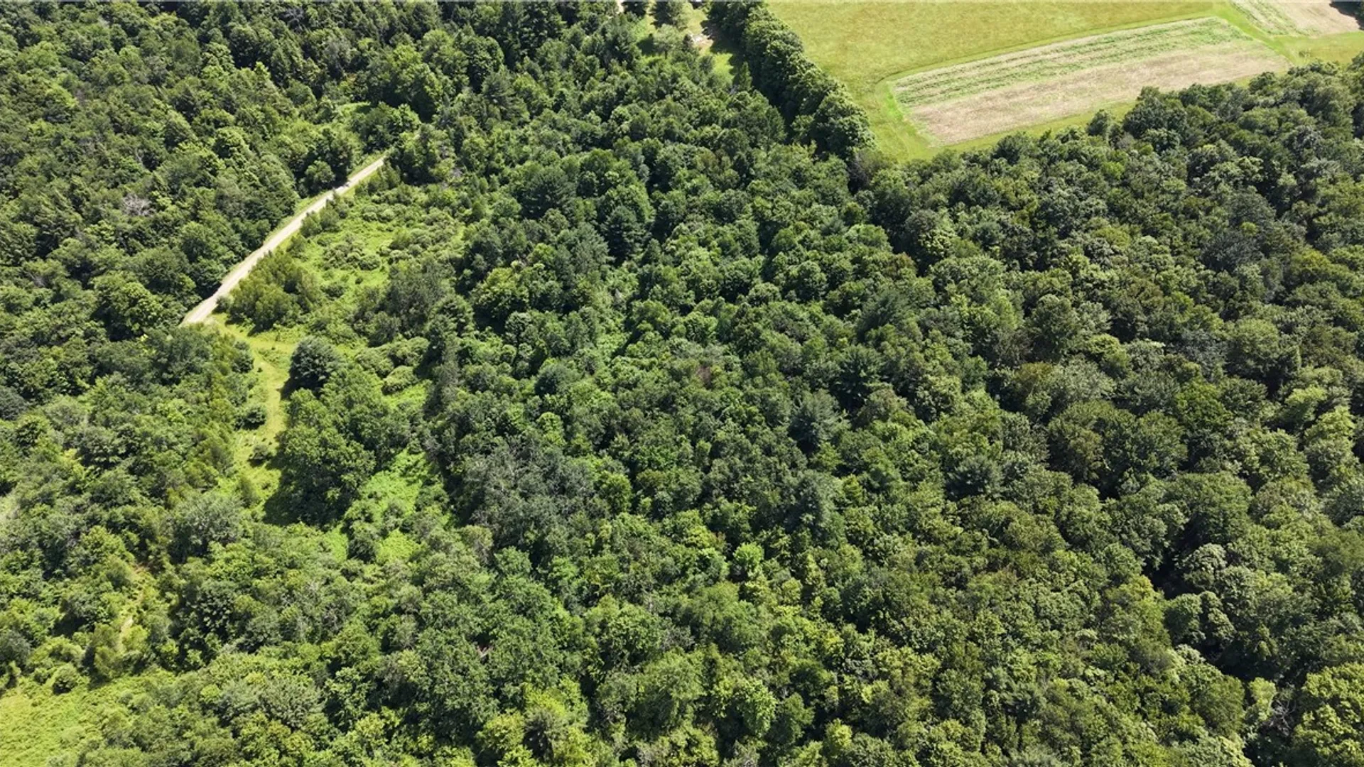 Property at *Rabbit Path (POLP: 409 Cty Rd 5), German, NY 13801 17