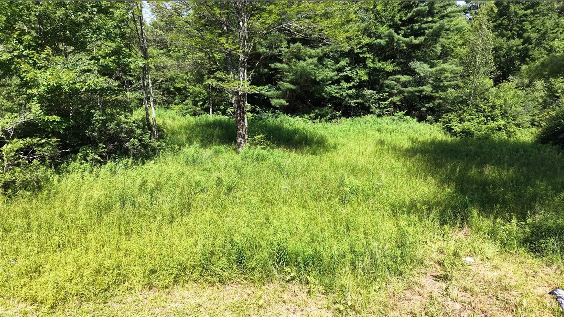 Property at *Rabbit Path (POLP: 409 Cty Rd 5), German, NY 13801 19