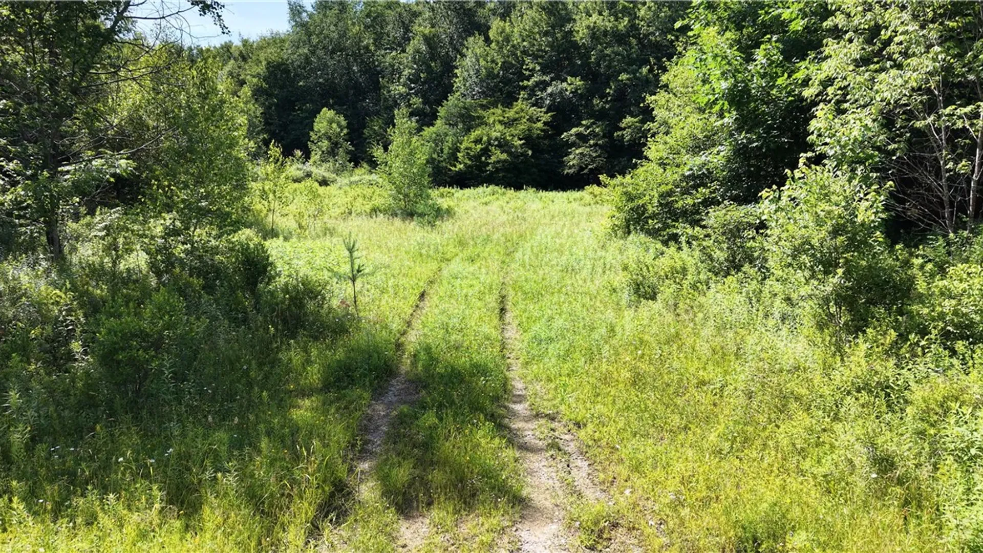 Property at *Rabbit Path (POLP: 409 Cty Rd 5), German, NY 13801 20