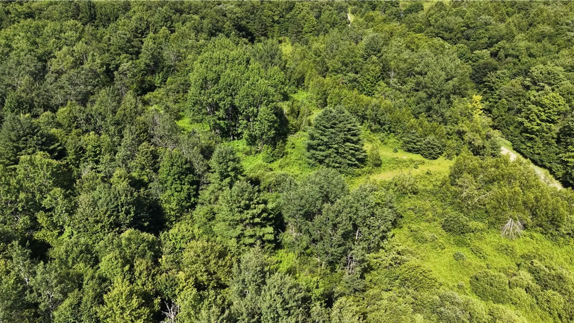 Property at *Rabbit Path (POLP: 409 Cty Rd 5), German, NY 13801 22