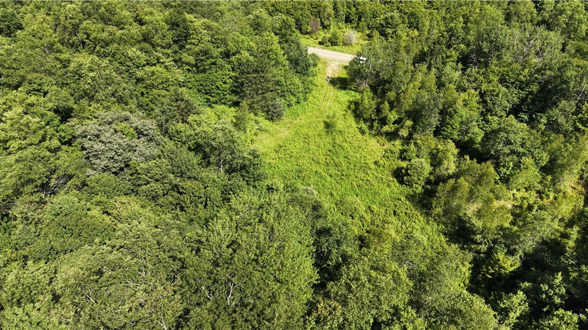 Property at *Rabbit Path (POLP: 409 Cty Rd 5), German, NY 13801 23