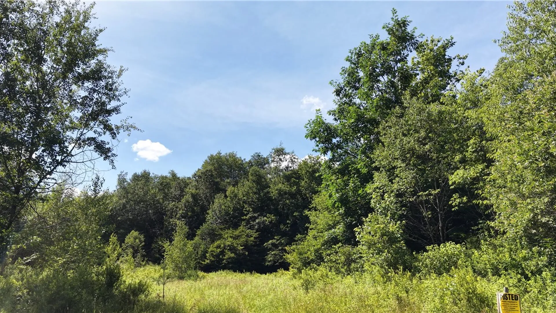 Property at *Rabbit Path (POLP: 409 Cty Rd 5), German, NY 13801 24