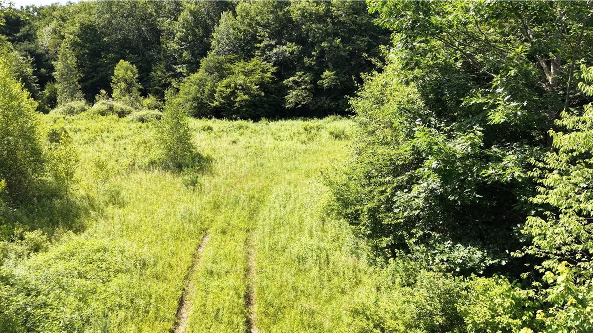 Property at *Rabbit Path (POLP: 409 Cty Rd 5), German, NY 13801 25