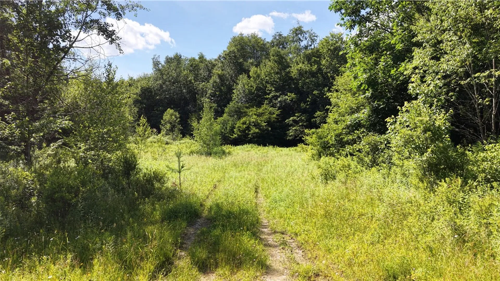 Property at *Rabbit Path (POLP: 409 Cty Rd 5), German, NY 13801 26