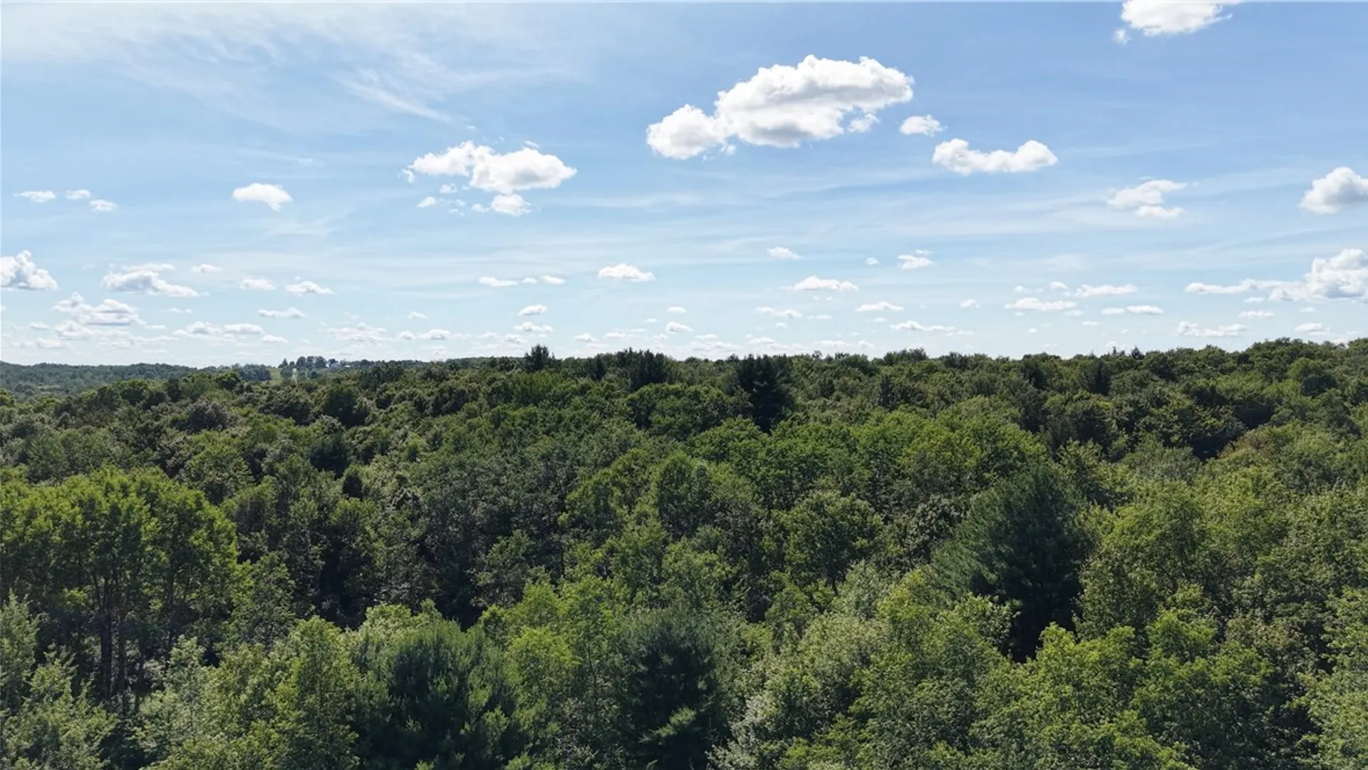 Property at *Rabbit Path (POLP: 409 Cty Rd 5), German, NY 13801 27